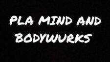 plamindandbodywurks.com