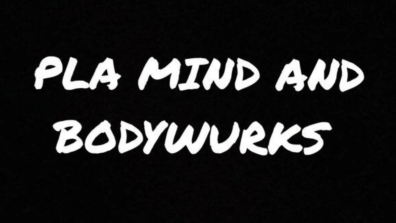 plamindandbodywurks.com